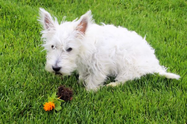 No, Really! I Found It Like This!