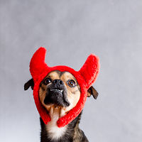 54dfe3c16739b avatar