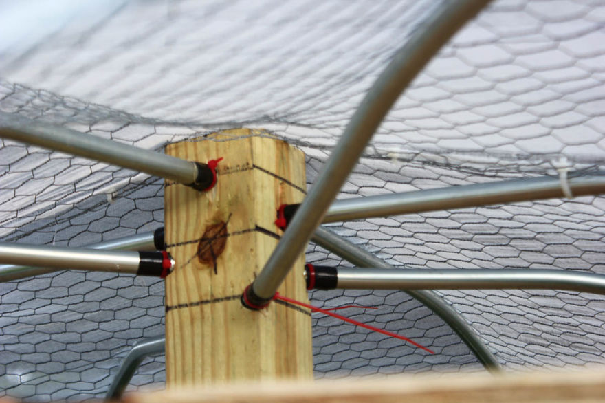 My Giant Illuminated Mushrooms Brighten Up Every Place They Go My Giant Illuminated Mushrooms Brighten Up Every Place They Go
