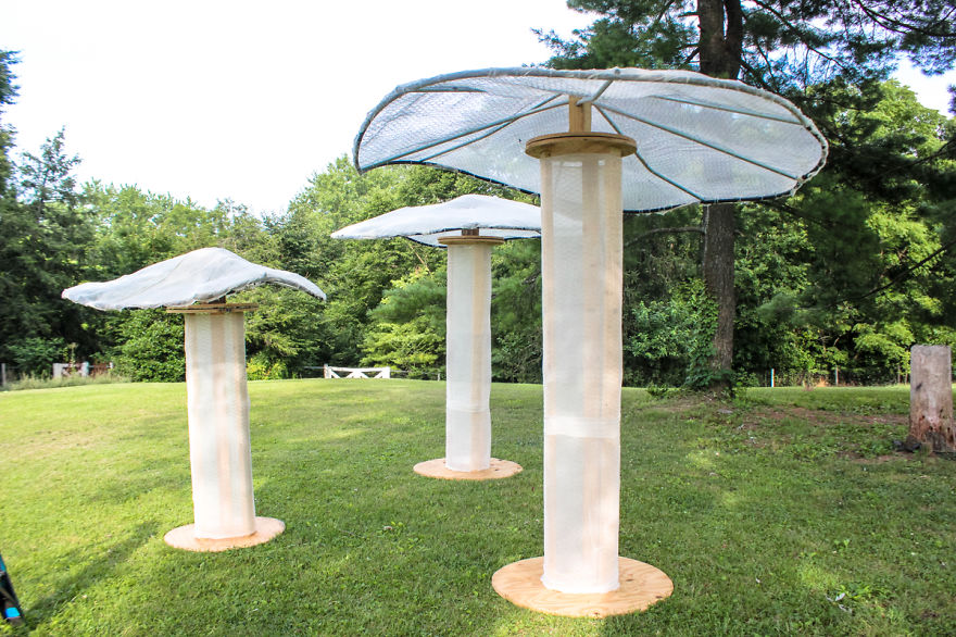 My Giant Illuminated Mushrooms Brighten Up Every Place They Go