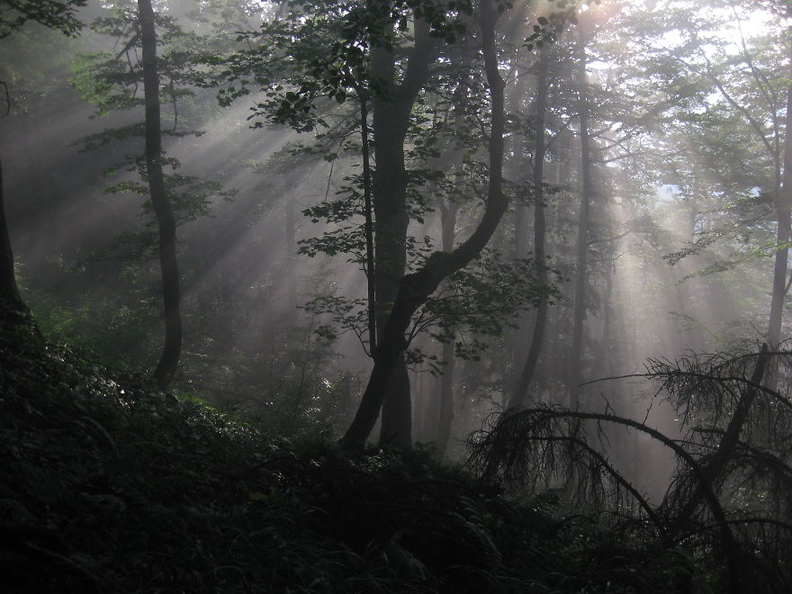 Kornietova Valley, Slovakian Mountains - Velka Fatra (by Hana Mrhalova)