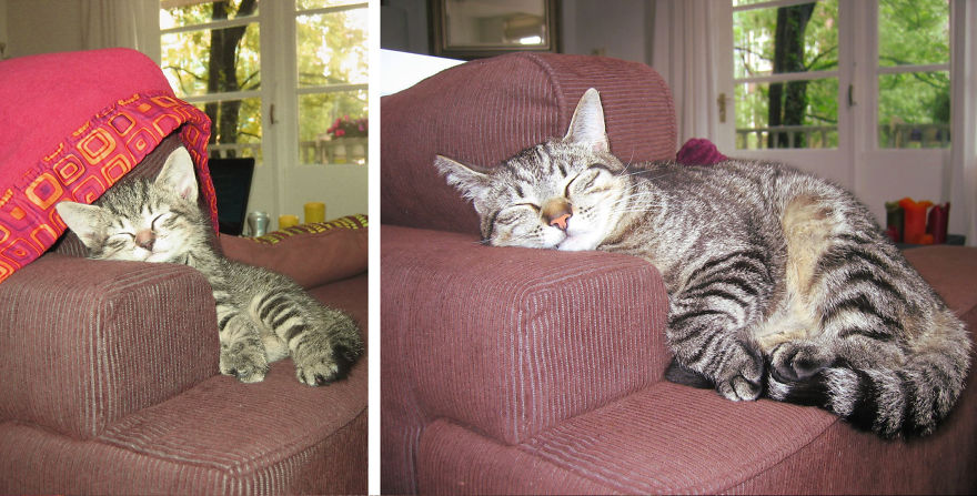 That Lovely Couch...