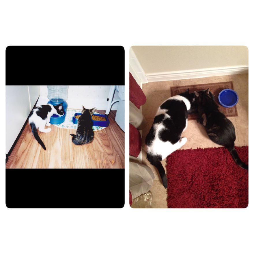 Elliott & Tigger In 2003 & 2014