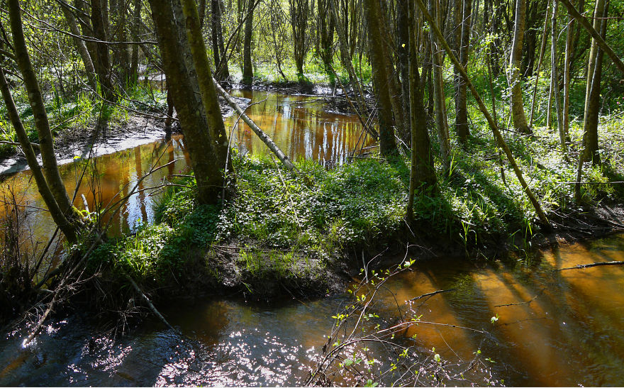 La Forge Du Bois Belet, La Charente, France