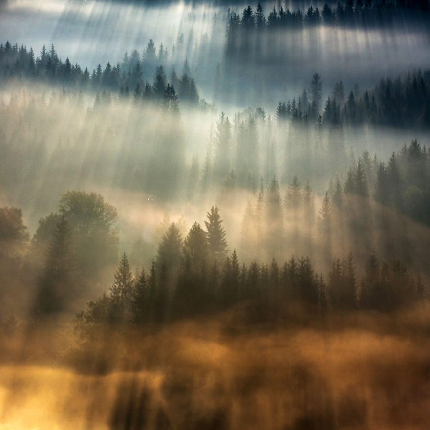 My Pictures Of Amazing Rays