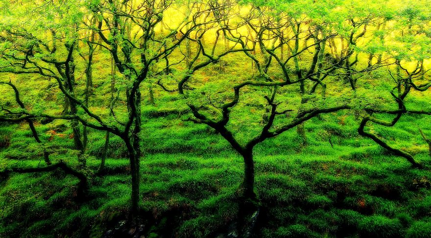 Lynmouth, North Devon, Uk.