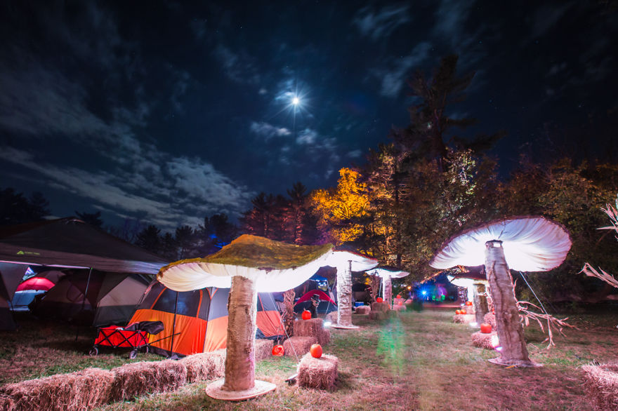 My Giant Illuminated Mushrooms Brighten Up Every Place They Go My Giant Illuminated Mushrooms Brighten Up Every Place They Go