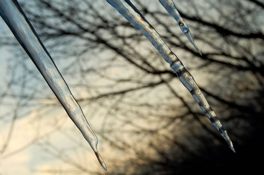 Icicle Scapes, From My Window, Michigan