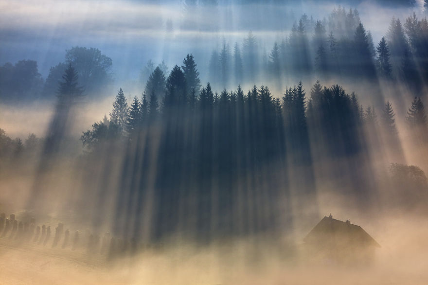 My Pictures Of Amazing Rays