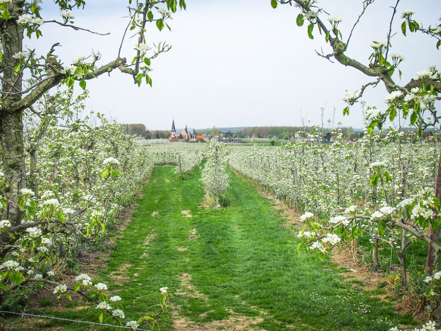 25 Most Beautiful Photos I Took Of My Birth Country Belgium Before Moving To The United States
