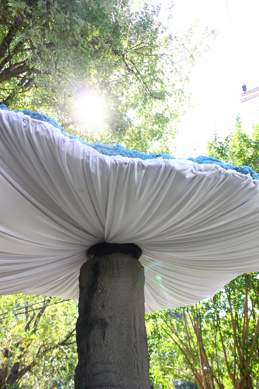 My Giant Illuminated Mushrooms Brighten Up Every Place They Go My Giant Illuminated Mushrooms Brighten Up Every Place They Go