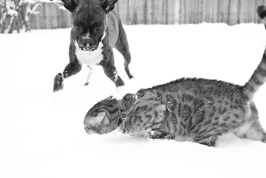 My Photos Of Me Slowly Becoming A Crazy Cat Lady My Photos Of Me Slowly Becoming A Crazy Cat Lady