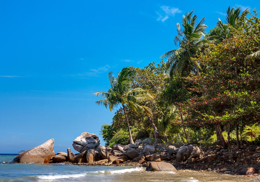 Our Amazing Journey Around The World