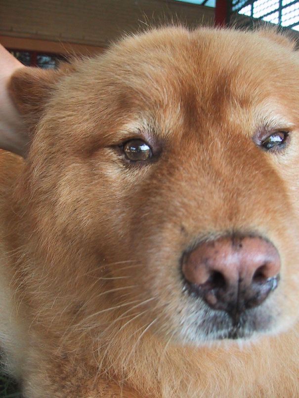 Mercy Mercy Bear-coup. Cultured