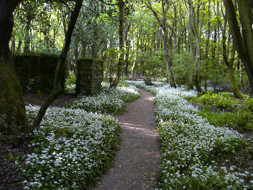 Penrhos Country Park, Holyhead