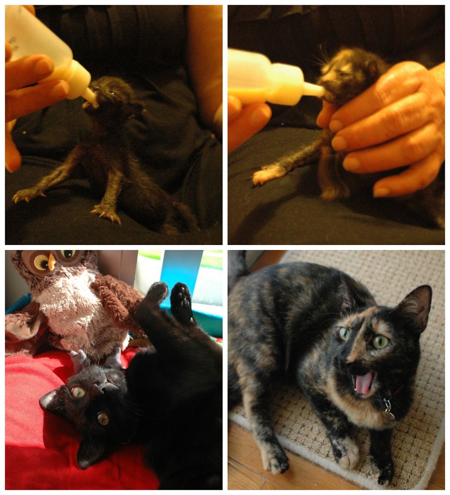 2 Years Later! Brother And Sister!