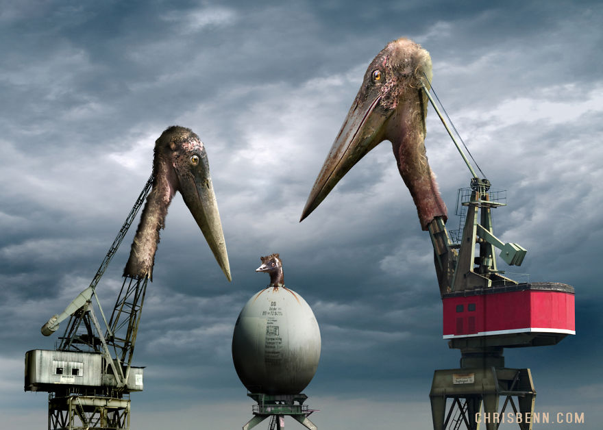 I Turn Photos From My Trips To Zoos Into Surreal Worlds