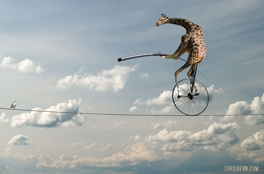 I Turn Photos From My Trips To Zoos Into Surreal Worlds