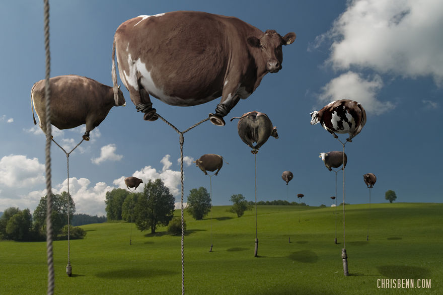 I Turn Photos From My Trips To Zoos Into Surreal Worlds