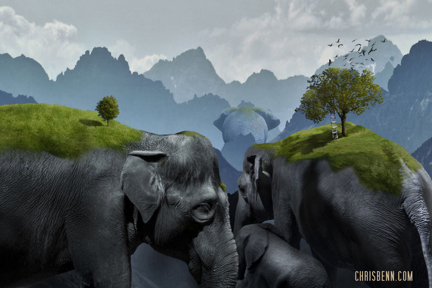 I Turn Photos From My Trips To Zoos Into Surreal Worlds