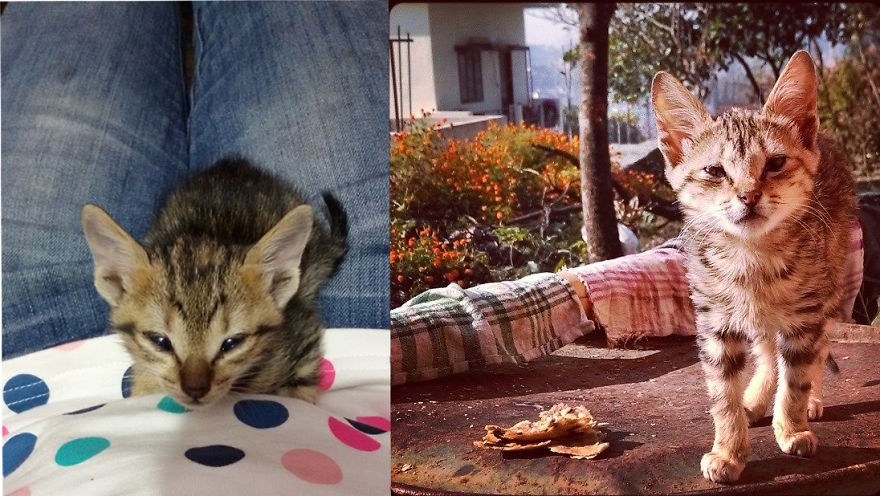 Well That's *pingu* On The Rescue...3 Months To 1 Year..she Has Come A Long Way.... :-d