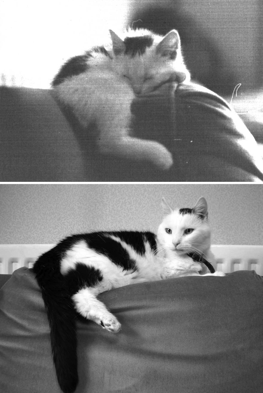 18 Years On... Rip Beautiful Pippin!