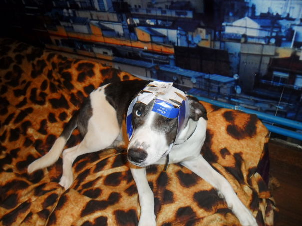 Look I Got A New Hat!!