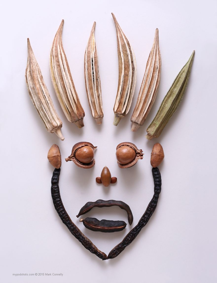 I Use Seeds to Create Faces, Insects, Flags And Abstract Pictures