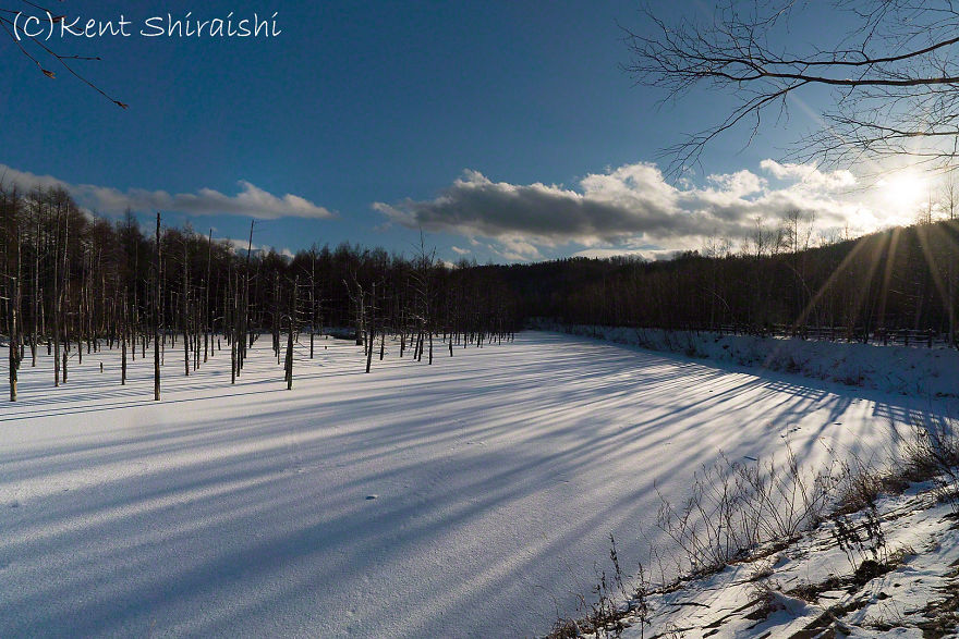 I Live In Hokkaido And Photograph This Magnificent Pond Every Season