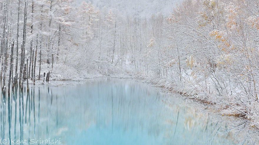 I Live In Hokkaido And Photograph This Magnificent Pond Every Season I Live In Hokkaido And Photograph This Magnificent Pond Every Season