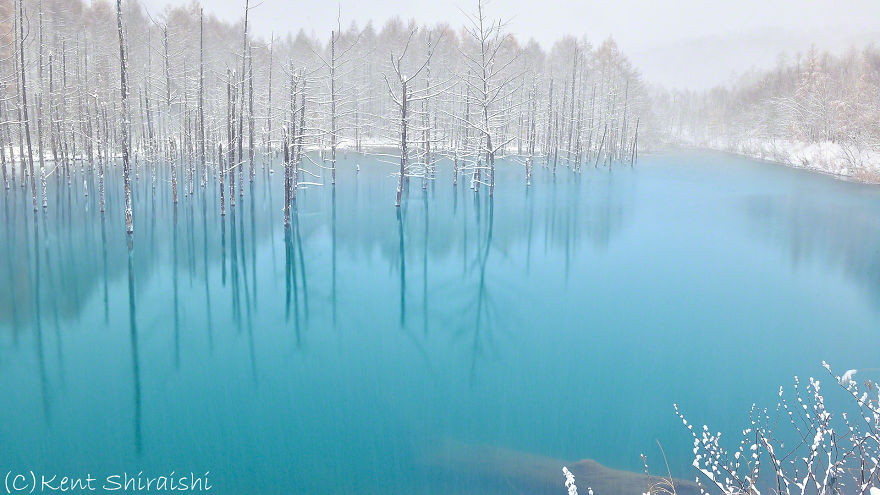 I Live In Hokkaido And Photograph This Magnificent Pond Every Season I Live In Hokkaido And Photograph This Magnificent Pond Every Season