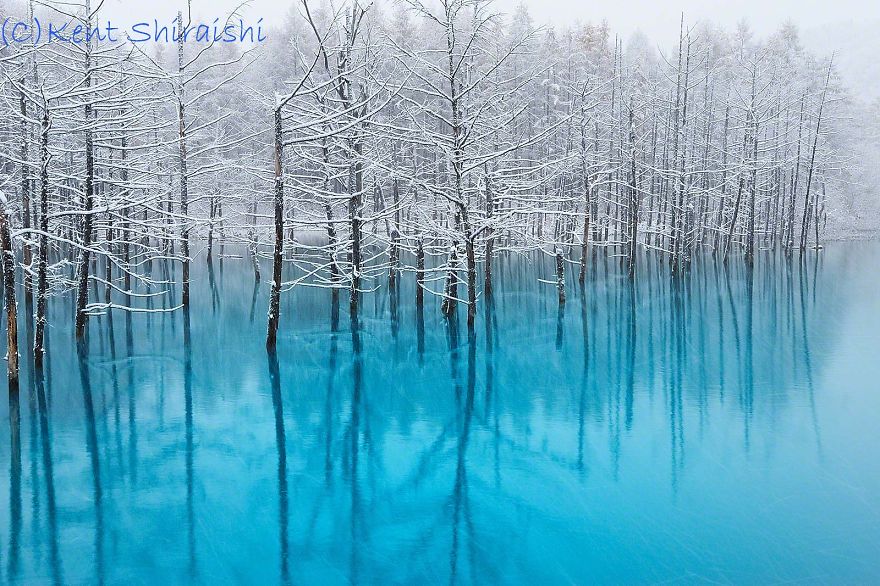 I Live In Hokkaido And Photograph This Magnificent Pond Every Season