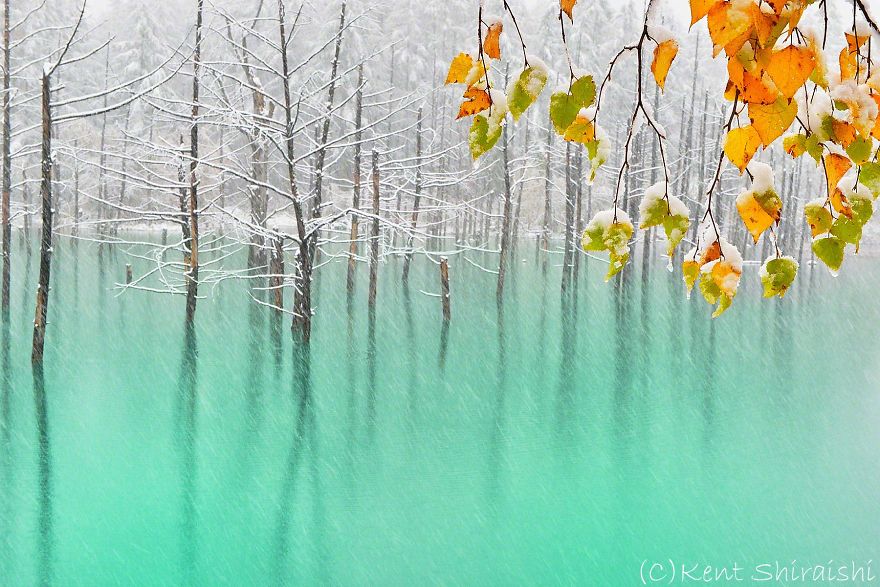 I Live In Hokkaido And Photograph This Magnificent Pond Every Season