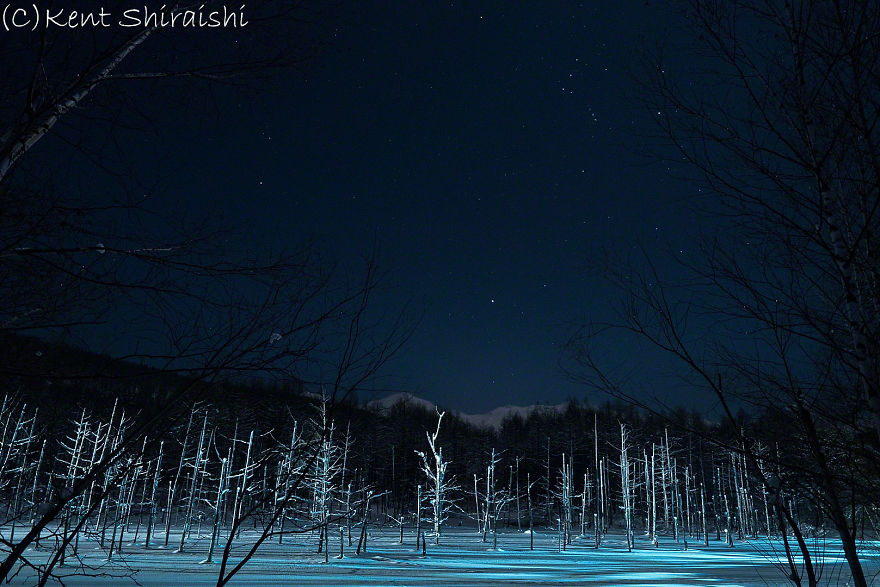 I Live In Hokkaido And Photograph This Magnificent Pond Every Season I Live In Hokkaido And Photograph This Magnificent Pond Every Season