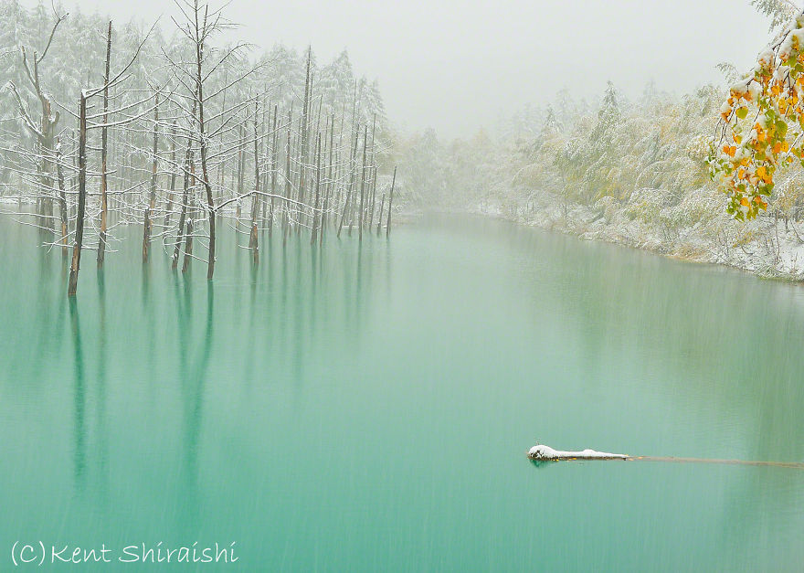 I Live In Hokkaido And Photograph This Magnificent Pond Every Season I Live In Hokkaido And Photograph This Magnificent Pond Every Season