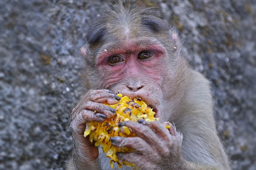 Trip To India - Soul Of The Earth