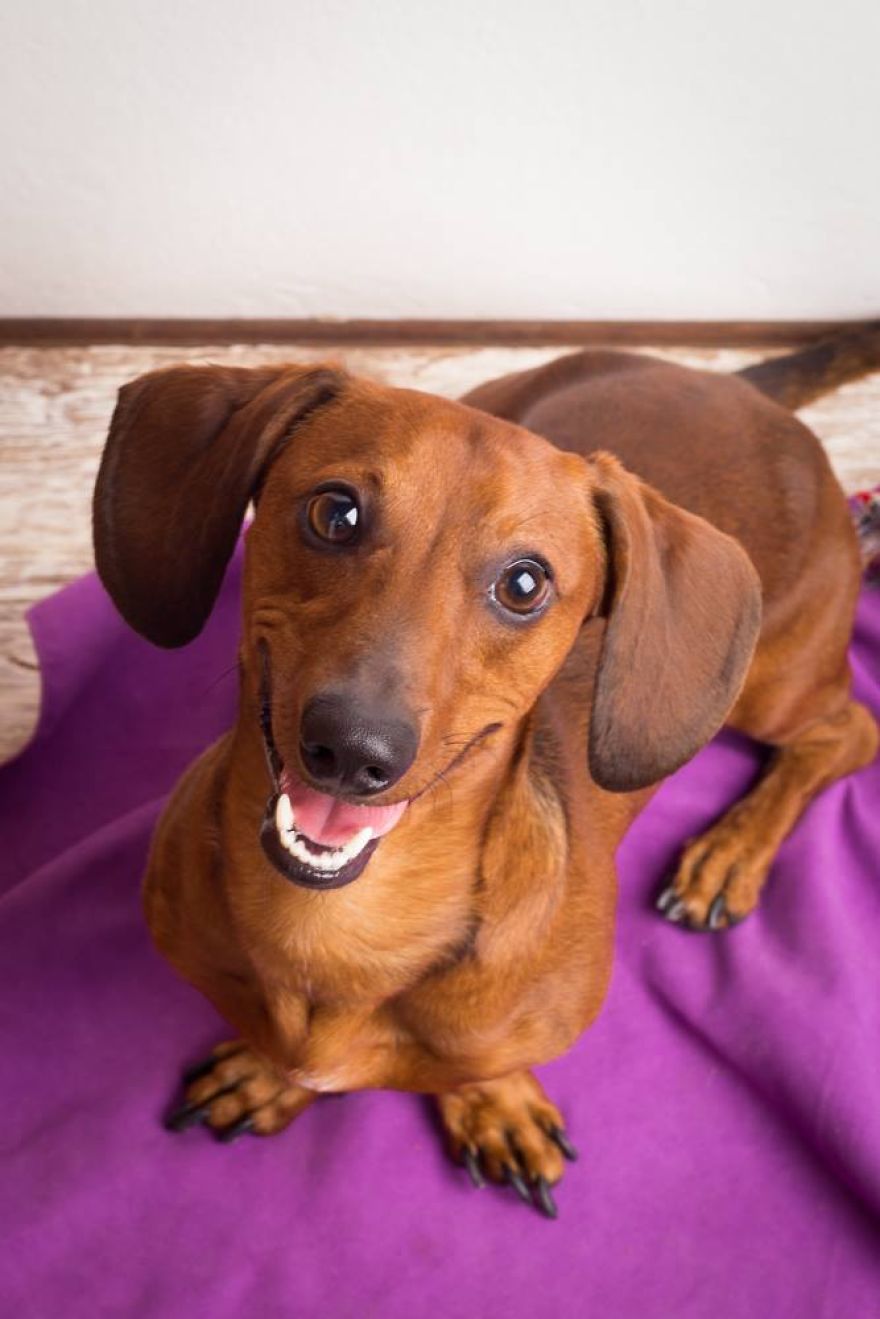 My Photos Of Our Best Friends To Fill Your Hearts With Love