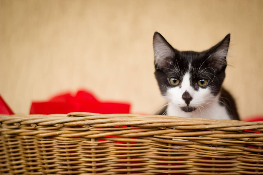 My Photos Of Our Best Friends To Fill Your Hearts With Love