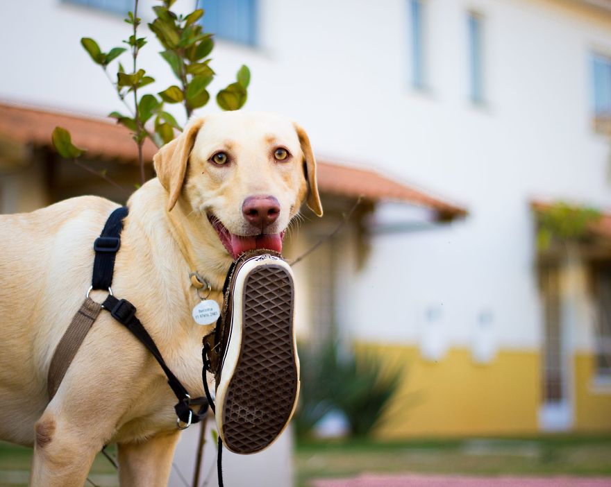 My Photos Of Our Best Friends To Fill Your Hearts With Love