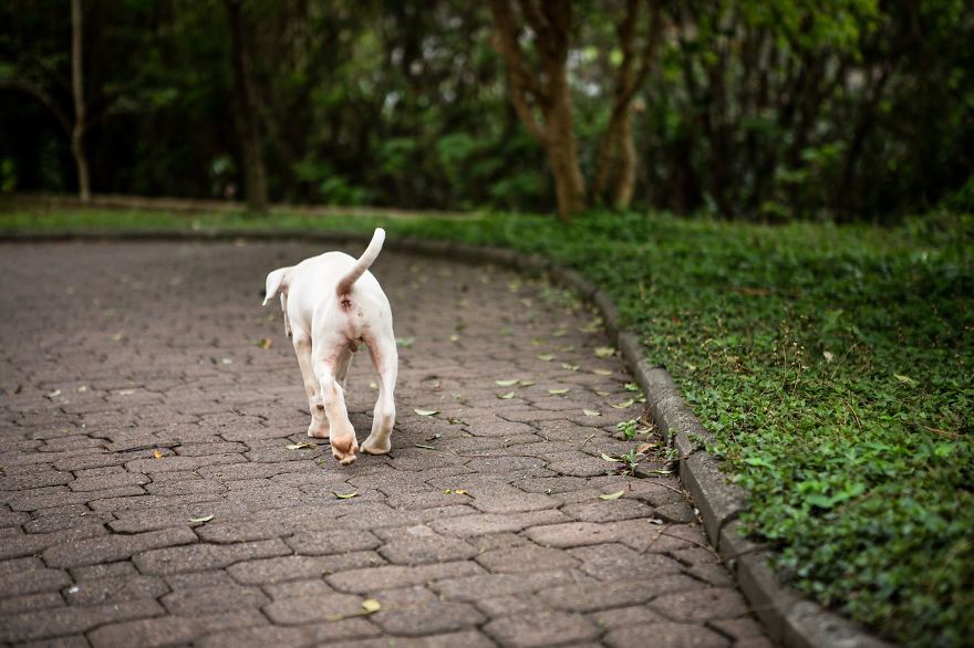 My Photos Of Our Best Friends To Fill Your Hearts With Love