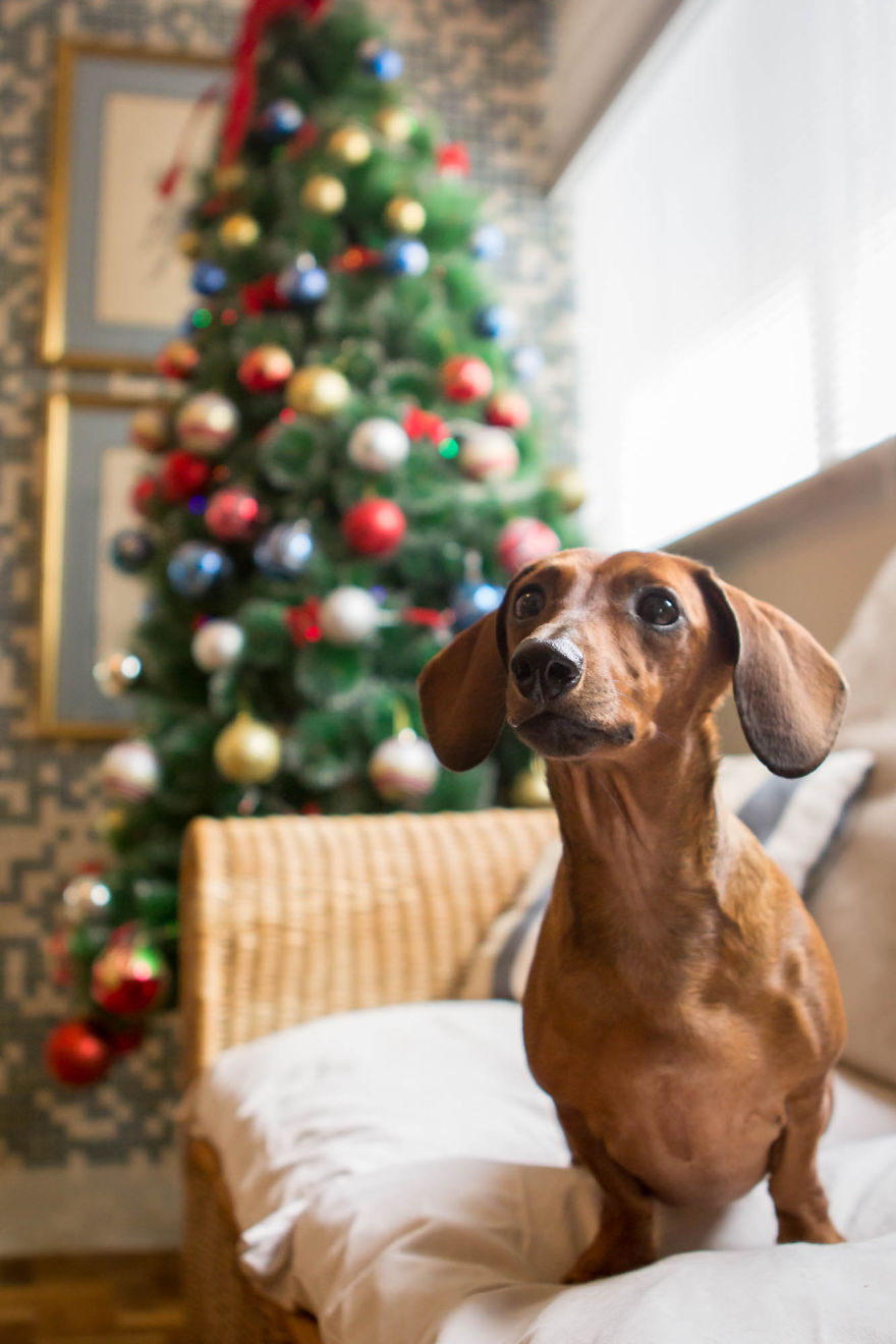 My Photos Of Our Best Friends To Fill Your Hearts With Love