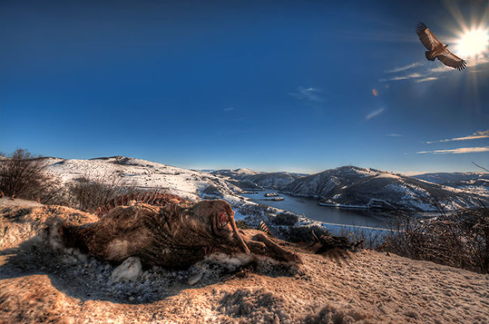 You Asked Yourself Why To Visit Serbia? This Is Why!