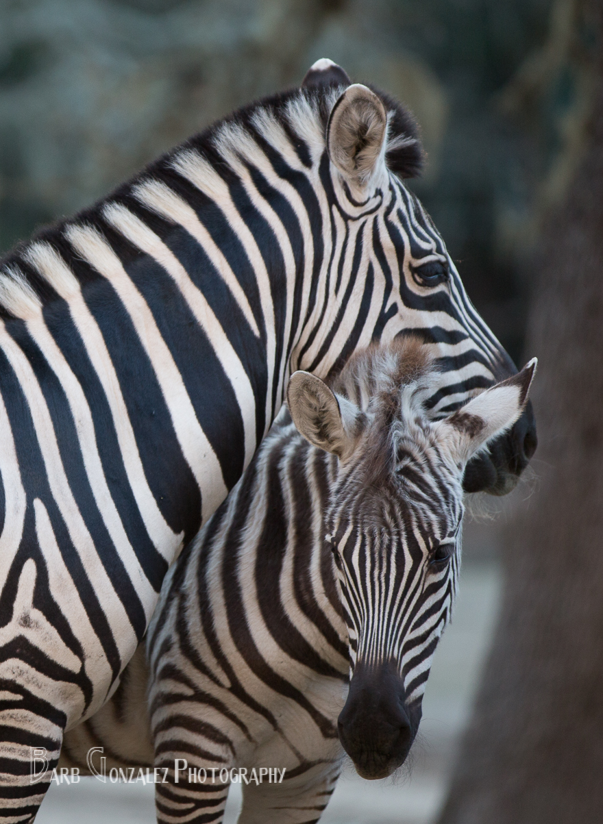 Love Between The Lines