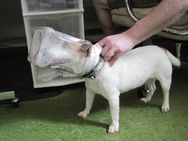 She Was Trying To Reach The Almond Skins And Salt In The Bottom Of This Empty Jar.