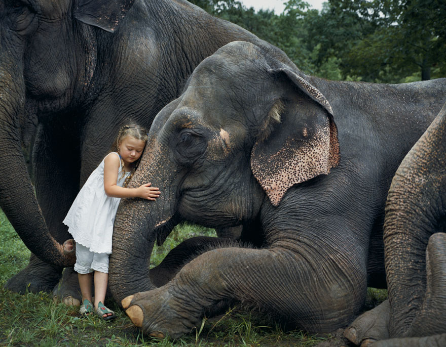amelia-and-the-animals-exotic-photography-robin-schwartz-13 amelia-and-the-animals-exotic-photography-robin-schwartz-13