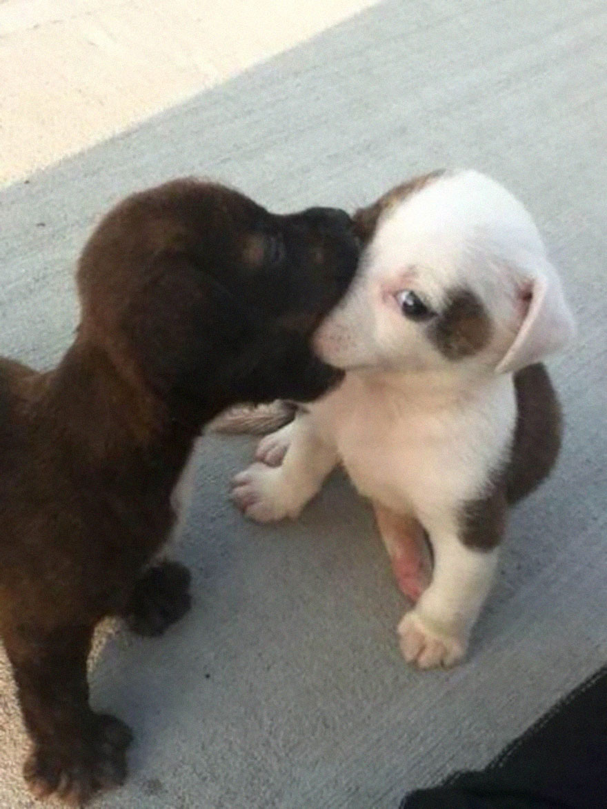 First Kiss