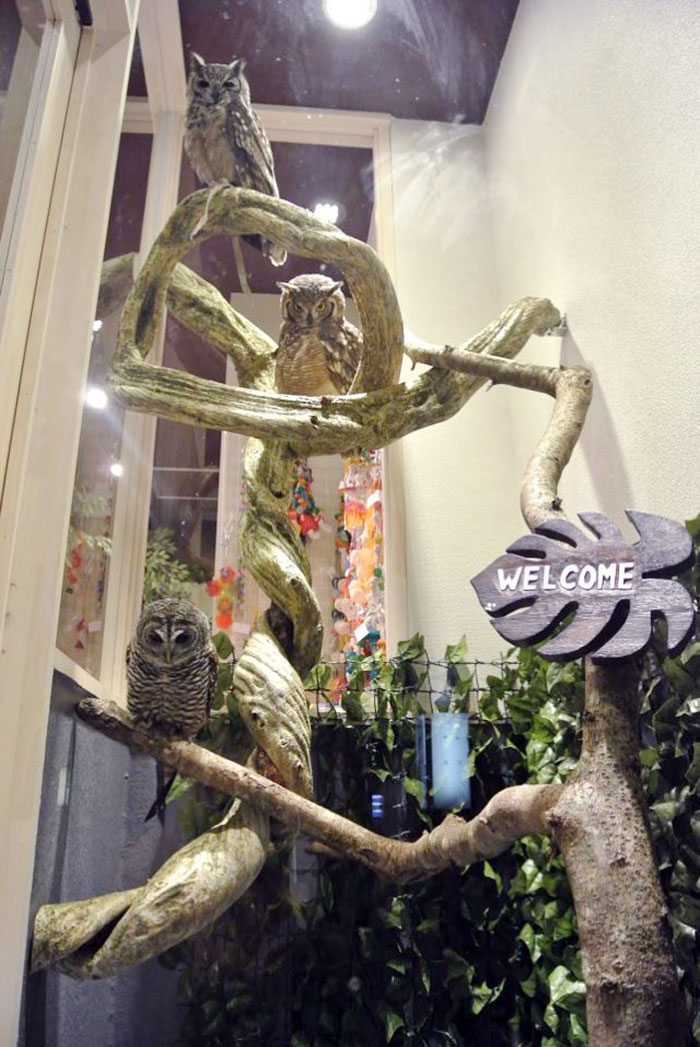 annie-the-owl-visits-london-pop-up-bar-15