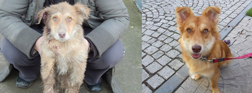 Bick - A Bundle Of Joy:)