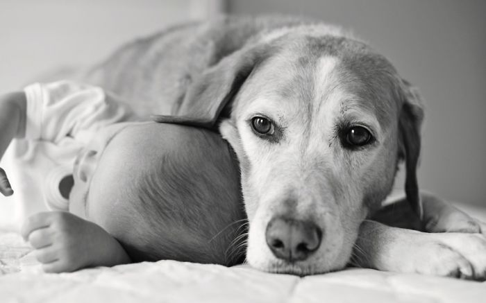 I Will Protect Your Dreams...