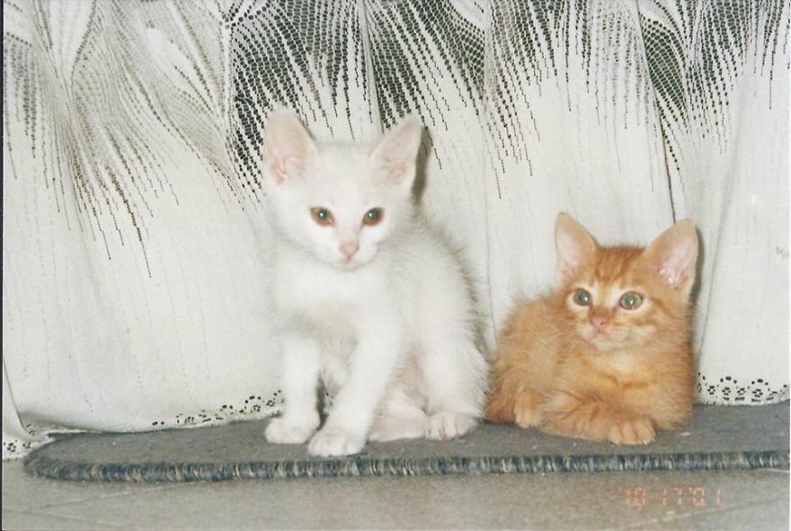 Bruce And Willis 2001-2015